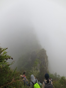 The view in Huaynapicchu...