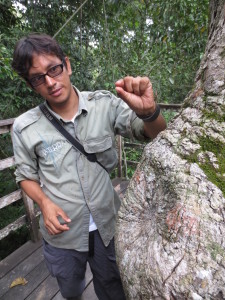 Helmut, the butterfly biologist, explaining about the biodiversity in the jungle.