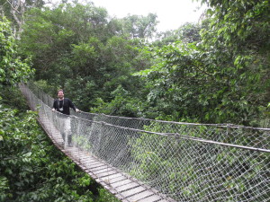 Walking across the canopy bridge system.