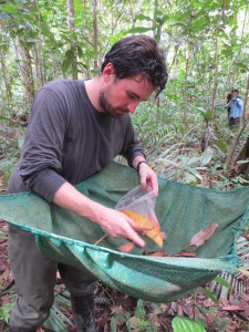 Seed collecting for one of the research projects.