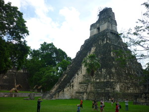 Side Temple Shot