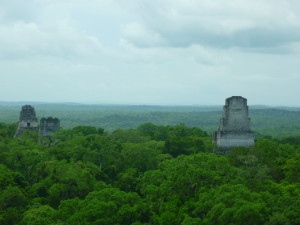 Temples sticking out above the tree line in Tikal... as seen  atop Temple IV.