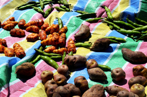 Step 4: Set the potatoes and beans out to dry. 