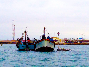 Fishermen with some bird intruders.