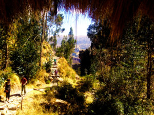 View from the bridge in the canyon... 