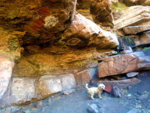 Rock art with puppy!
