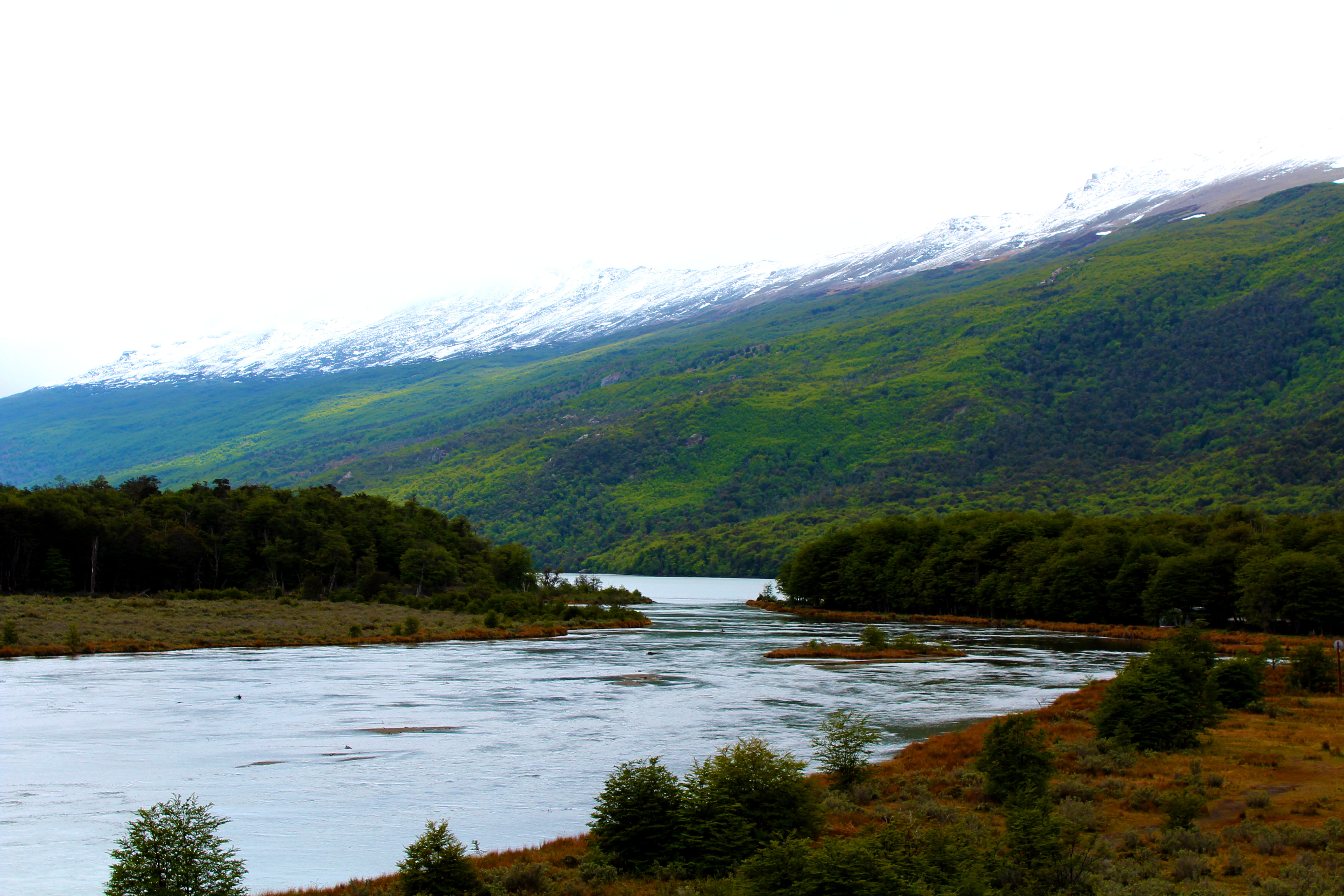 River in the park. 