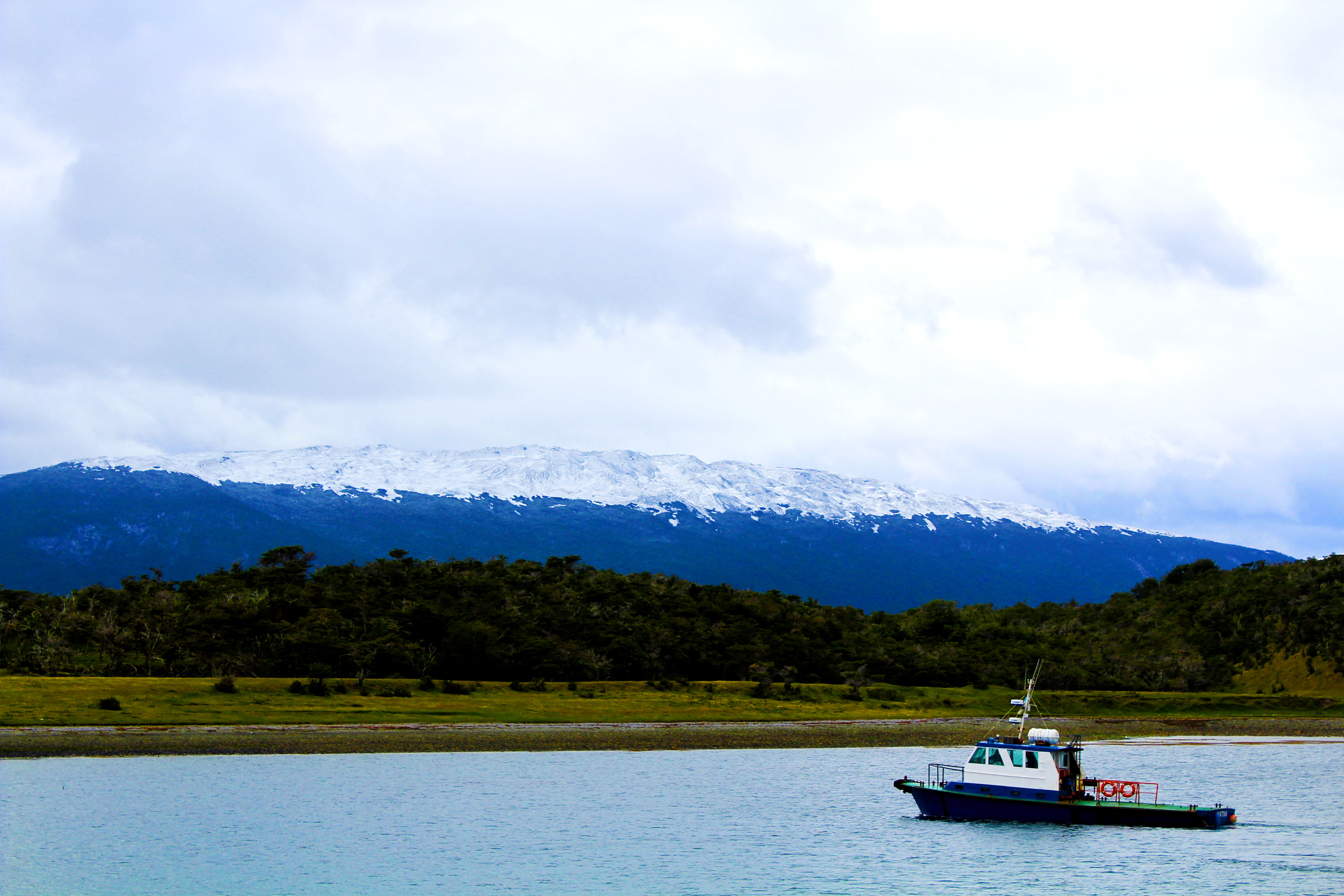 penguins-boat-pp